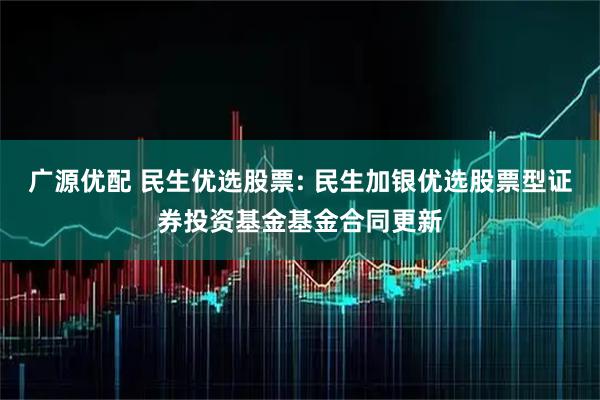 广源优配 民生优选股票: 民生加银优选股票型证券投资基金基金合同更新