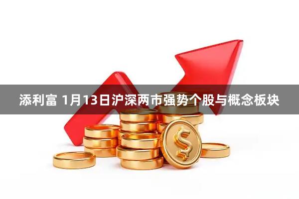 添利富 1月13日沪深两市强势个股与概念板块